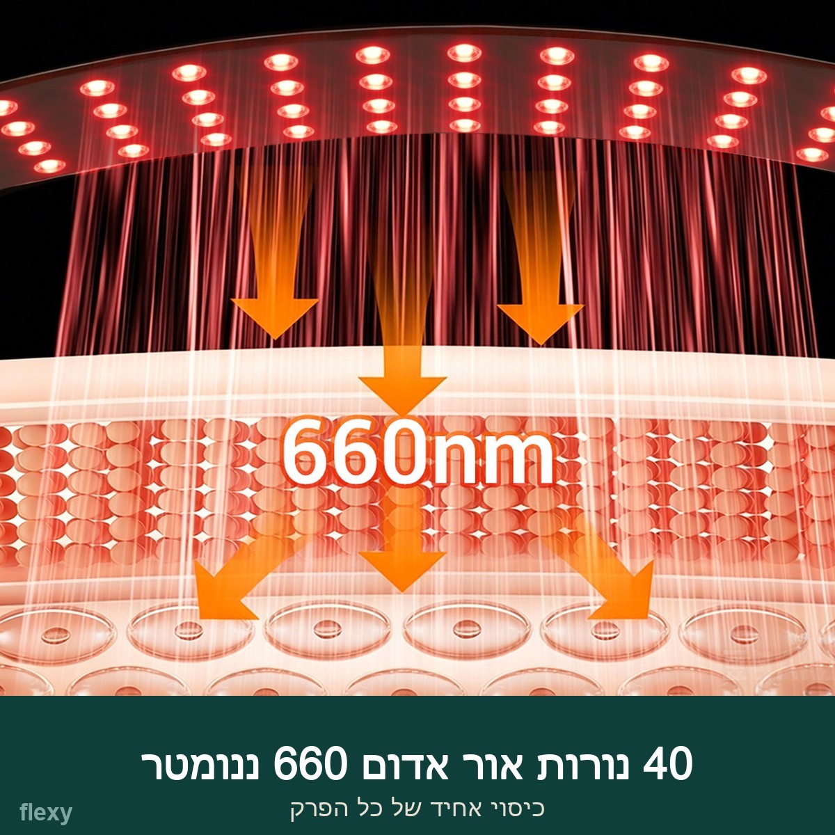 40 נורות אור אדום 660 ננומטר